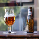 photo de la bouteille et du verre